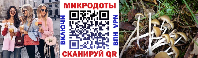 Псилоцибиновые грибы Psilocybine cubensis  Аркадак 